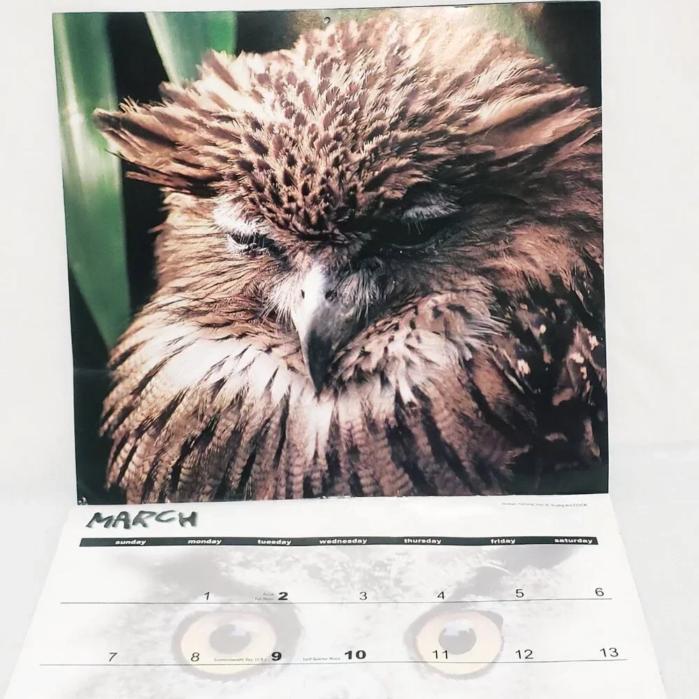 Owls Birds Calendar 1999 Halfmoon Press The Time Factory 16 Months